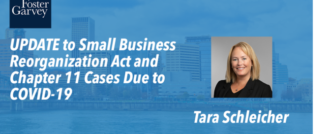 Tara Schleicher Blog Image